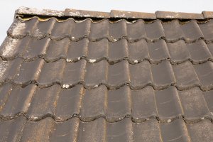 Dachziegelschaden-14.jpg