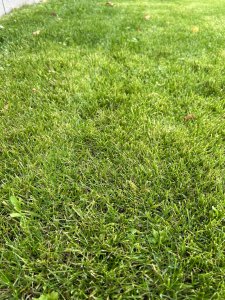 IMG_5110.jpeg