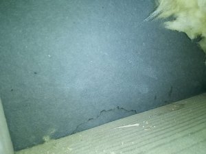 WhatsApp Image 2023-10-12 at 11.54.12.jpeg