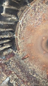 2023-10-14 13.41.48.jpg