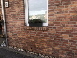 IMG_1628.jpeg