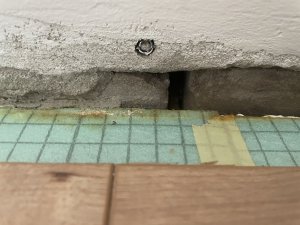 IMG_0417.jpeg