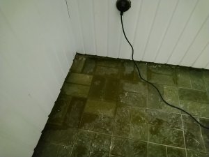 Wasserschaden in der Ecke 13.09.2023.JPG