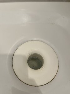 IMG_7309.jpeg