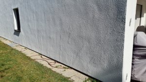 20231013_122624.jpg