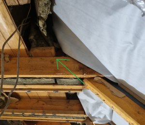 Pfette über Dach.jpg