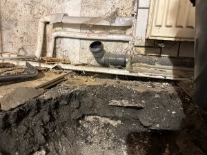 IMG_4403.jpeg