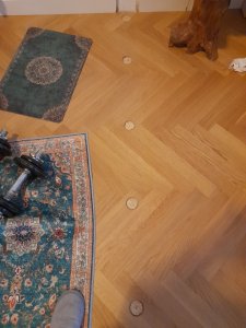 20231005_130334.jpg
