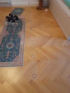 20231005_130324.jpg