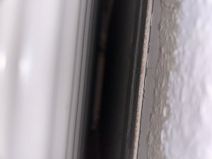 IMG_0243.jpeg