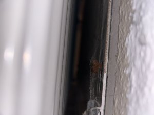 IMG_0245.jpeg