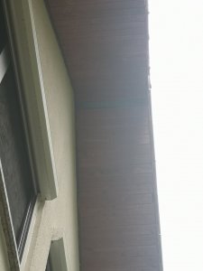 IMG_20231022_114419.jpg