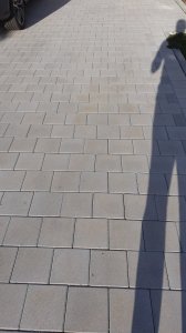 20231022_161103.jpg