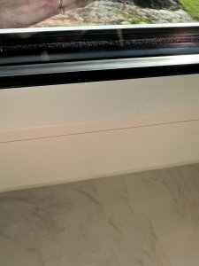 IMG_1482.jpeg