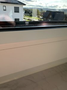 IMG_1481.jpeg