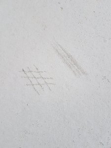 20231027_142836.jpg