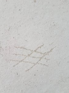 20231027_143207.jpg