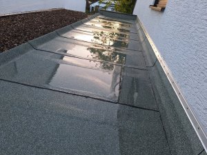 20231014_084155.jpg