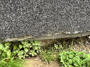 IMG_4795.jpeg