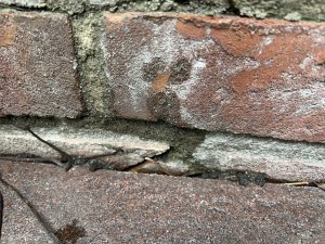IMG_4214.jpeg