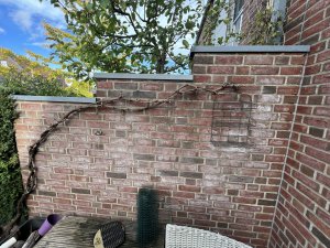 IMG_4216.jpeg
