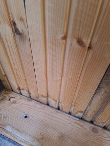 20231031_112356.jpg