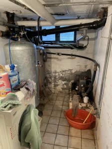 IMG_4835.jpeg