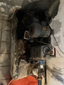 IMG_4837.jpeg