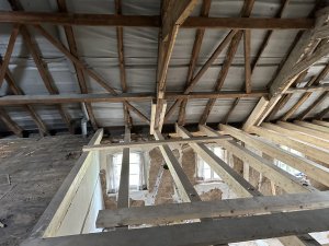 IMG_9530.jpg