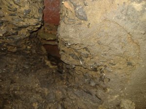 WhatsApp Image 2023-11-07 at 09.08.04.jpeg