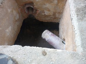 WhatsApp Image 2023-11-07 at 09.08.03.jpeg