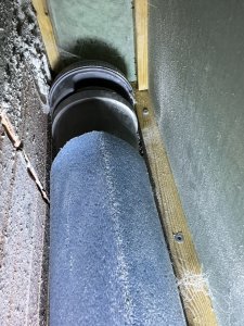 IMG_7560.jpeg