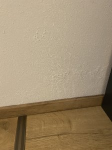 IMG_5589.jpeg