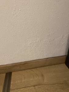IMG_5591.jpeg