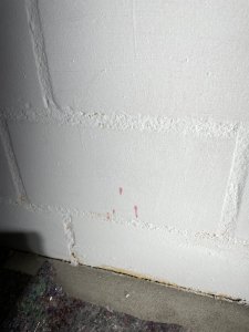 IMG_8973.JPG