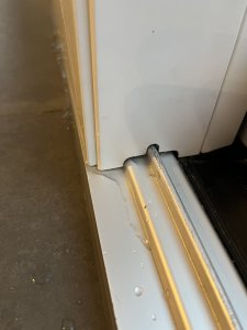 IMG_4131.jpeg