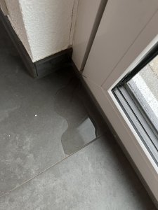 IMG_3613.jpeg