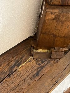 IMG_4527.jpg