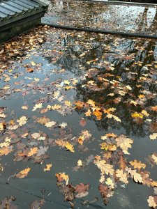 WhatsApp Image 2023-11-16 at 18.59.50 (7).jpeg