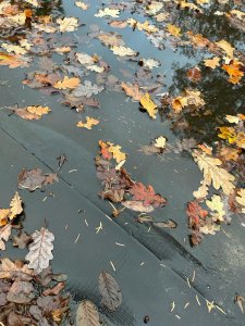 WhatsApp Image 2023-11-16 at 18.59.50 (6).jpeg