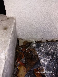 20231118_170455.jpg
