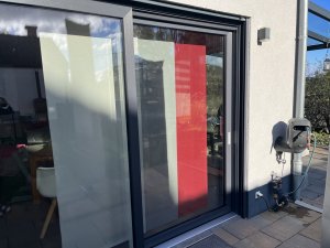 IMG_4208.jpeg