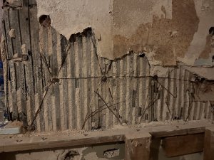 IMG_2239.jpeg