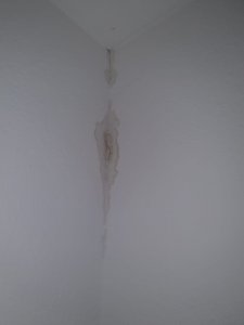 IMG-20231120-WA0002.jpg