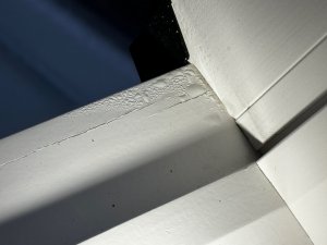 IMG_6304.JPG