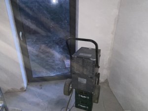 IMG_7595.jpeg