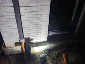 IMG_7659.jpeg