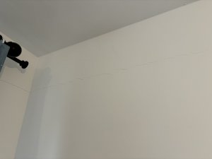IMG_0050.jpeg