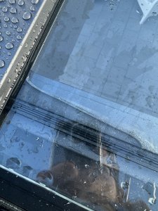 IMG_2666.jpeg