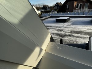 IMG_6569.jpeg